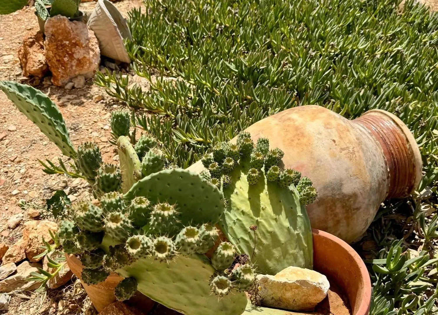 Aria Case Vacanze Favignana 0*,  Olaszország