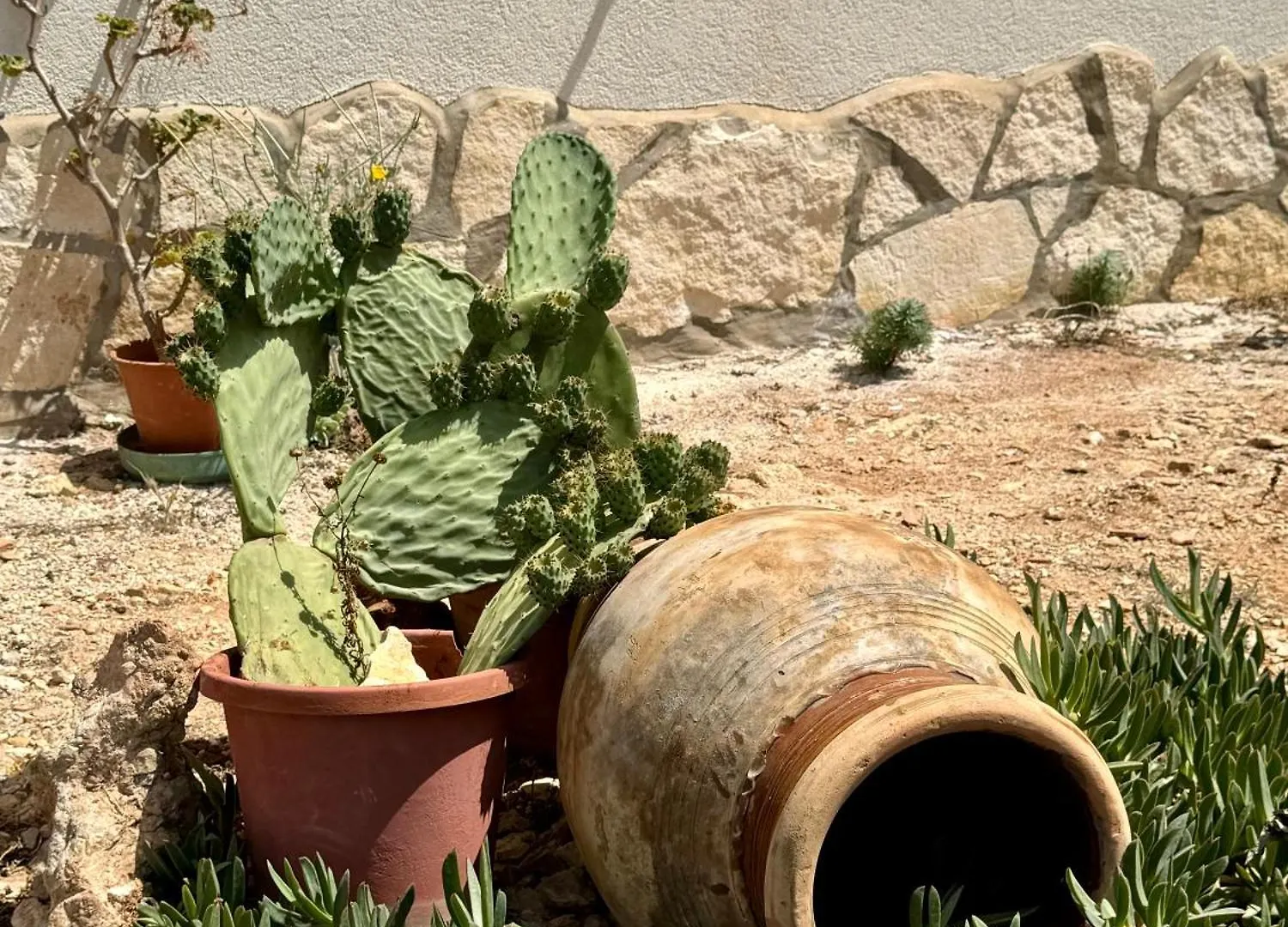 Aria case vacanze Favignana Italia
